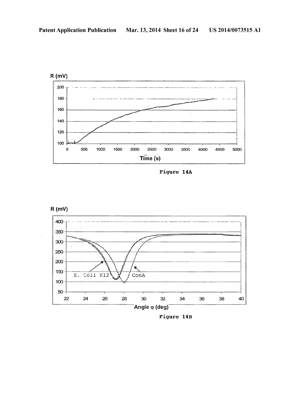 Microorganism detection and analysis using carbohydrate and lectin     recognition - diagram, schematic, and image 17