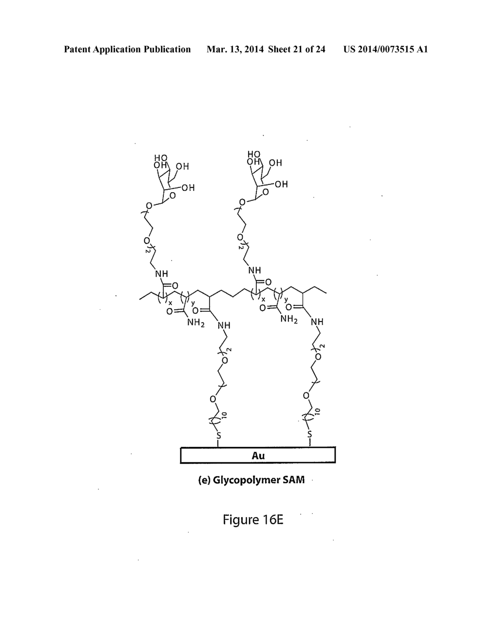 Microorganism detection and analysis using carbohydrate and lectin     recognition - diagram, schematic, and image 22