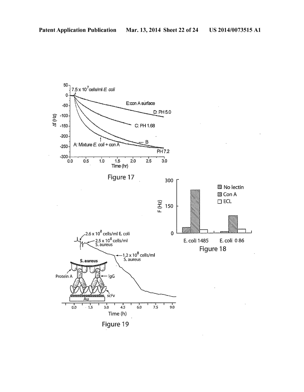 Microorganism detection and analysis using carbohydrate and lectin     recognition - diagram, schematic, and image 23