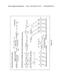 Microorganism detection and analysis using carbohydrate and lectin     recognition diagram and image