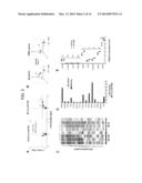 LUNG CANCER-RELEVANT HUMAN EMBRYONIC STEM CELL SIGNATURE diagram and image