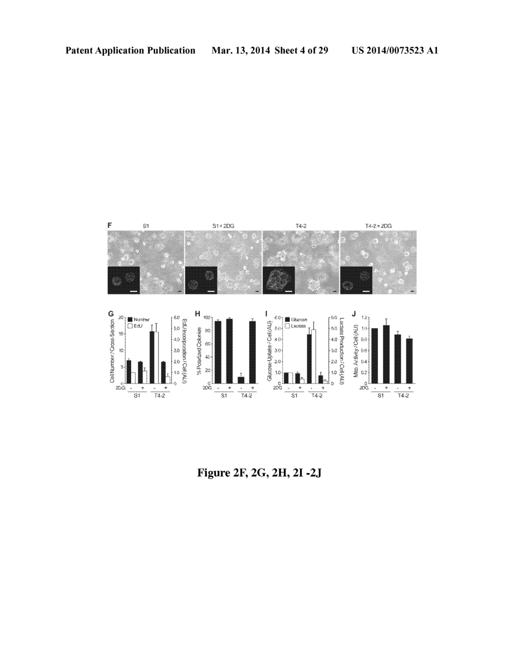 USE OF GLYCOLYTIC PATHWAYS FOR INHIBITING OR MEASURING ONCOGENIC SIGNALING - diagram, schematic, and image 05