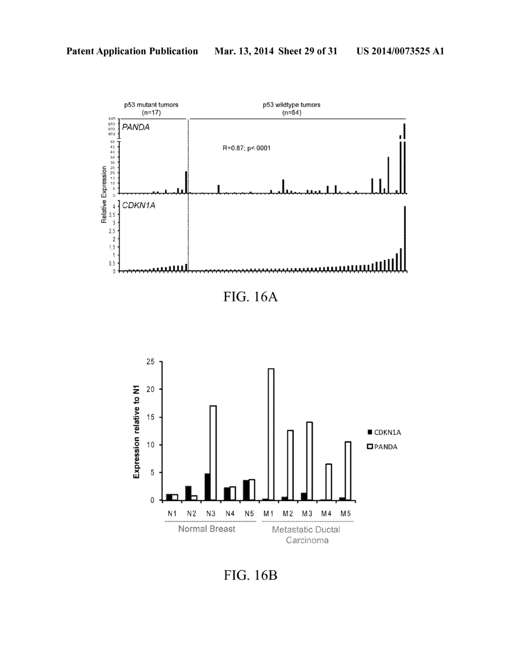 DIAGNOSTIC, PROGNOSTIC AND THERAPEUTIC USES OF LONG NON-CODING RNAS FOR     CANCER AND REGENERATIVE MEDICINE - diagram, schematic, and image 30