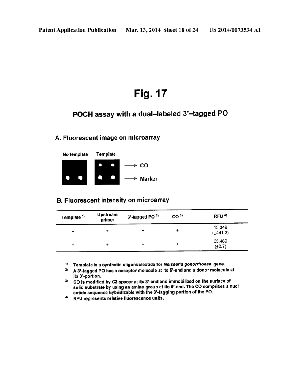 DETECTION OF TARGET NUCLEIC ACID SEQUENCES BY PO CLEAVAGE AND     HYBRIDIZATION - diagram, schematic, and image 19