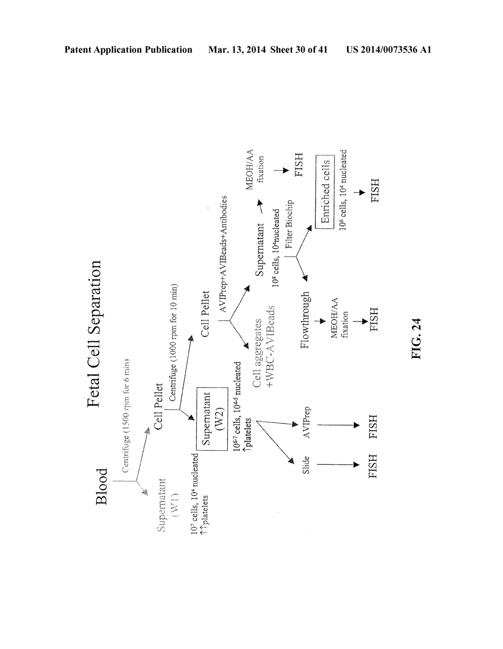 METHODS AND COMPOSITIONS FOR DETECTING NON-HEMATOPOIETIC CELLS FROM A     BLOOD SAMPLE - diagram, schematic, and image 31