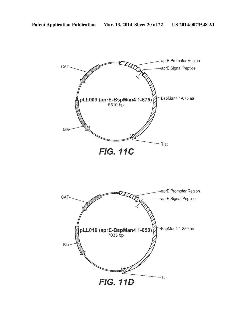 DETERGENT COMPOSITIONS CONTAINING BACILLUS SP. MANNANASE AND METHODS OF     USE THEREOF - diagram, schematic, and image 21
