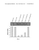 Compositions for the treatment of cancer, and methods for testing and     using the same diagram and image