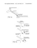 GLUE COMPOSITION FOR LUNG VOLUME REDUCTION diagram and image