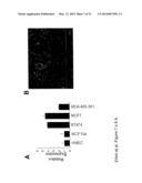 BRUTON S TYROSINE KINASE AS ANTI-CANCER DRUG TARGET diagram and image