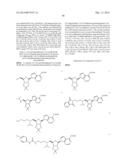 7-Deazapurine Modulators of Histone Methyltransferase, and Methods of Use     Thereof diagram and image
