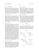 Biaryl Heterocyclic Compounds and Methods of Making and Using the Same diagram and image