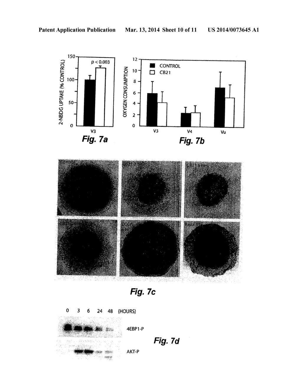 Treatment of Solid Tumours - diagram, schematic, and image 11