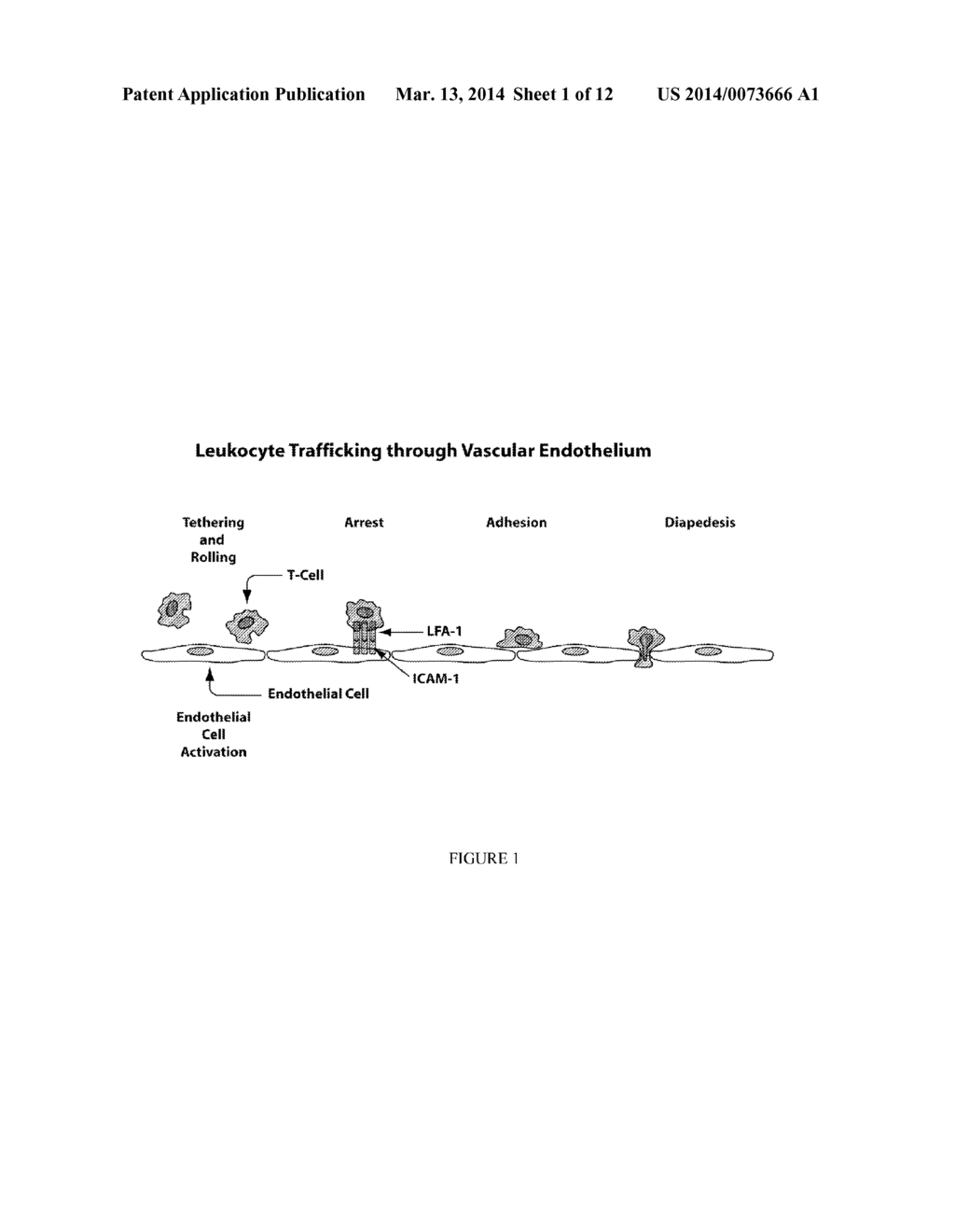 COMPOSITIONS AND METHODS FOR TREATMENT - diagram, schematic, and image 02