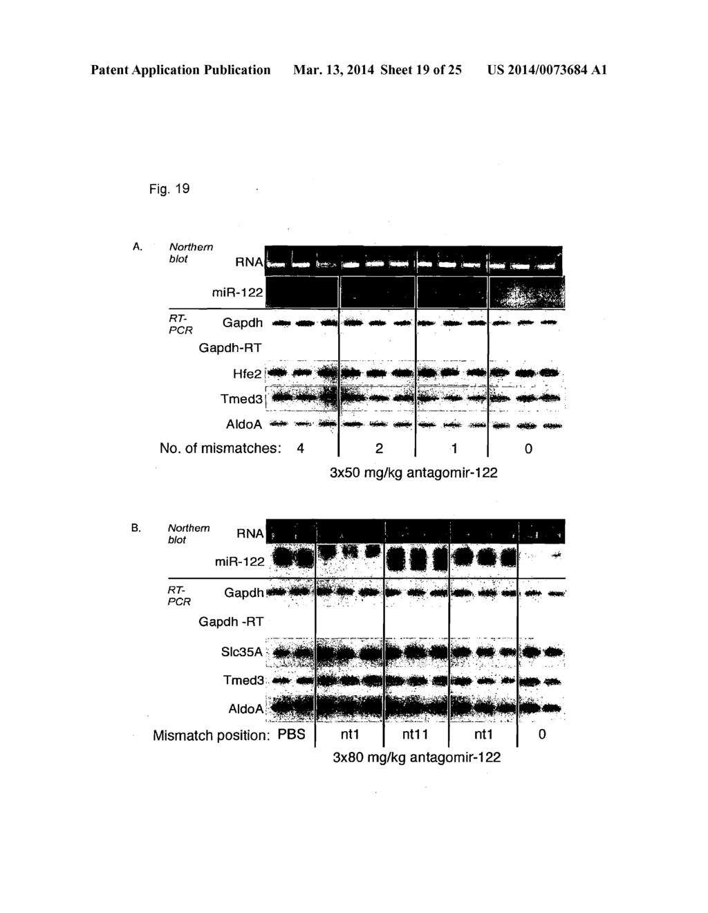 CHEMICALLY MODIFIED OLIGONUCLEOTIDES FOR USE IN MODULATING MICRO RNA AND     USES THEREOF - diagram, schematic, and image 20