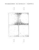 METHODS OF PREVENTING, TREATING AND DIAGNOSING DISORDERS OF PROTEIN     AGGREGATION diagram and image