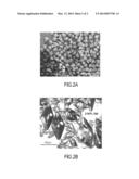 PROCESS FOR OBTAINING A CHARGE OF HEXANITROHEXAAZAISOWURTZITANE CRYSTALS     HAVING A ROUNDED MORPHOLOGY; CHARGE AND CORRESPONDING ENERGETIC MATERIAL diagram and image