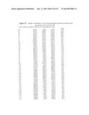 ONO PINCER LIGANDS AND ONO PINCER LIGAND COMPRISING METAL COMPLEXES diagram and image