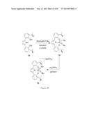 ONO PINCER LIGANDS AND ONO PINCER LIGAND COMPRISING METAL COMPLEXES diagram and image