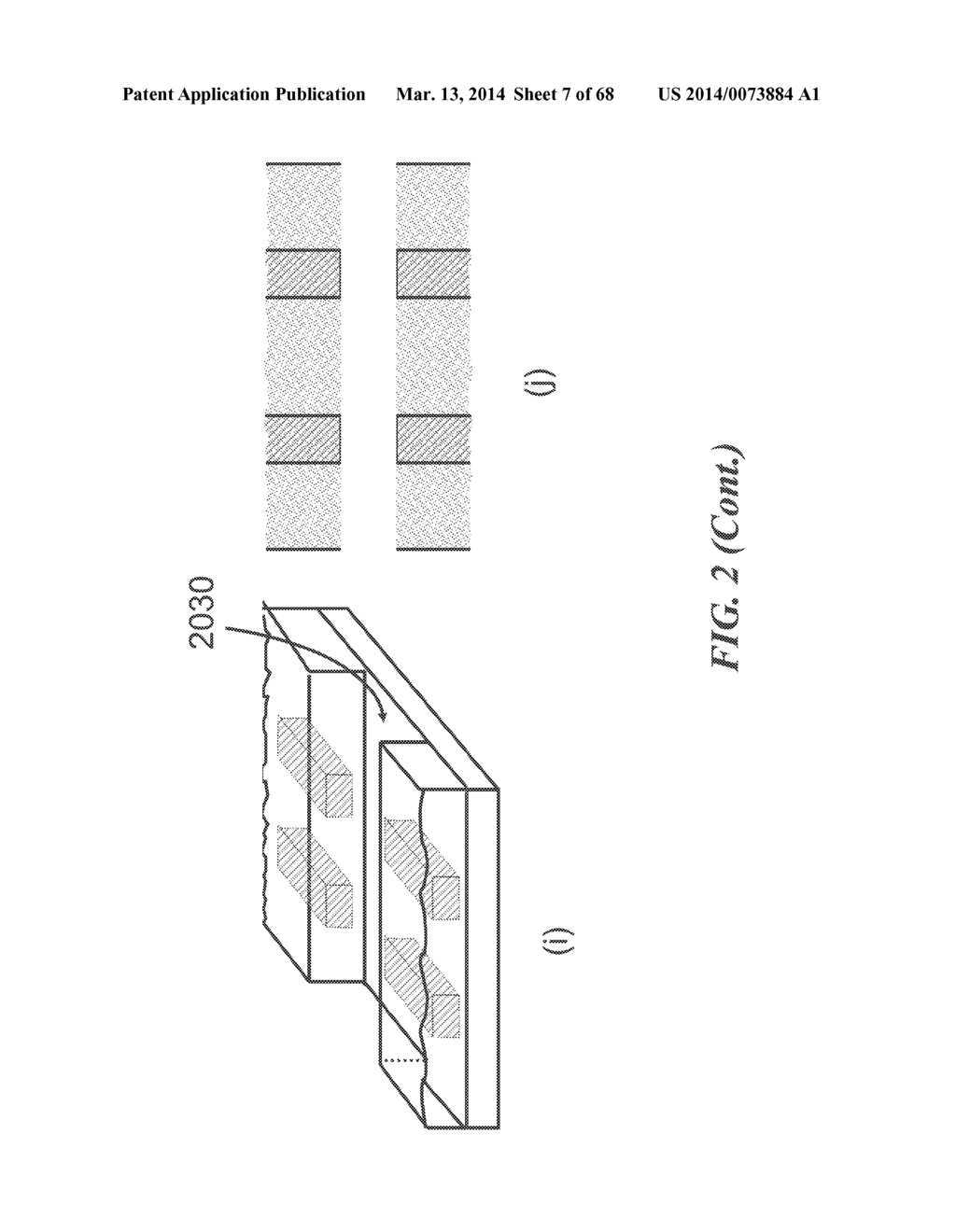 APPARATUS FOR DETECTING TUMOR CELLS - diagram, schematic, and image 08