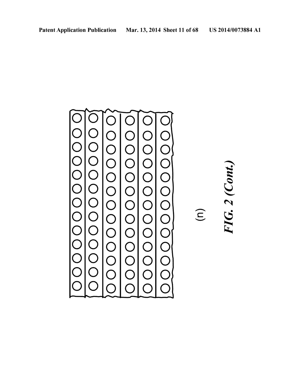 APPARATUS FOR DETECTING TUMOR CELLS - diagram, schematic, and image 12