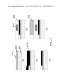 APPARATUS FOR DETECTING TUMOR CELLS diagram and image