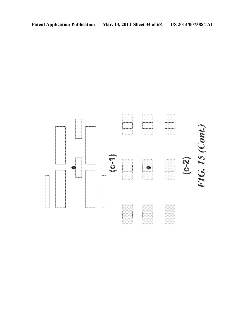 APPARATUS FOR DETECTING TUMOR CELLS - diagram, schematic, and image 35