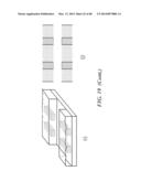 APPARATUS FOR DETECTING TUMOR CELLS diagram and image