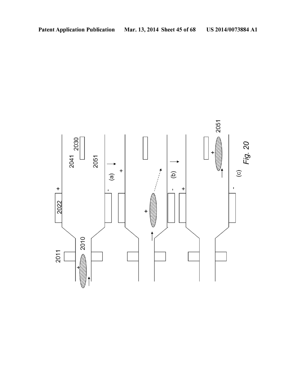 APPARATUS FOR DETECTING TUMOR CELLS - diagram, schematic, and image 46