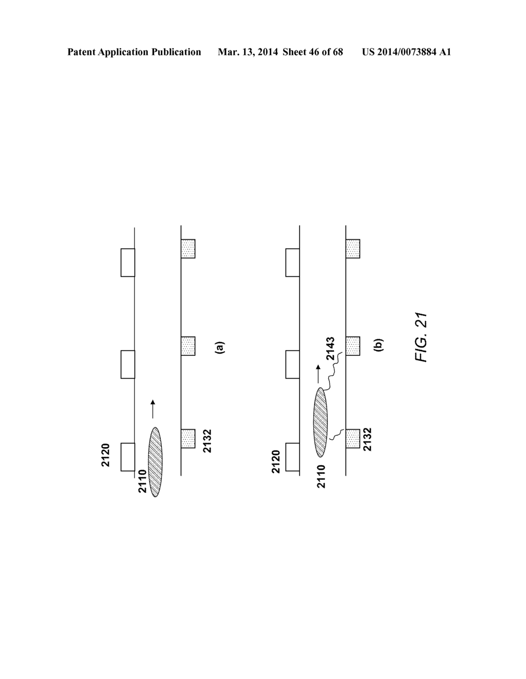 APPARATUS FOR DETECTING TUMOR CELLS - diagram, schematic, and image 47