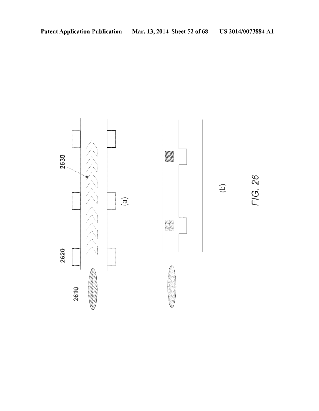 APPARATUS FOR DETECTING TUMOR CELLS - diagram, schematic, and image 53