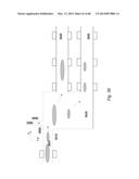 APPARATUS FOR DETECTING TUMOR CELLS diagram and image