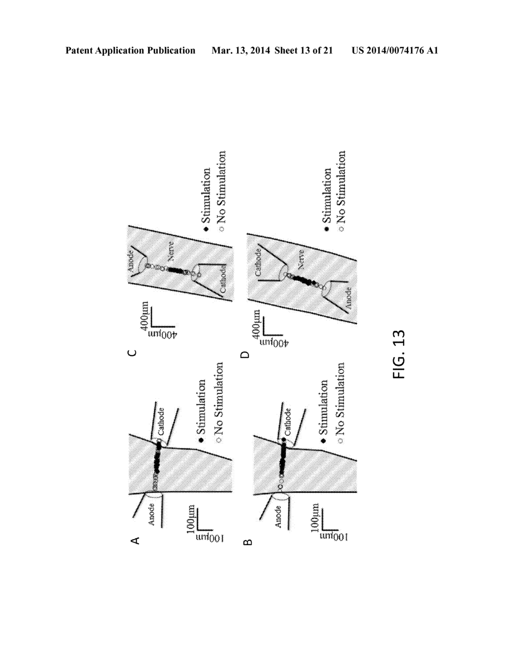 METHOD AND APPARATUS FOR SELECTIVELY CONTROLLING NEURAL ACTIVITIES AND     APPLICATIONS OF SAME - diagram, schematic, and image 14