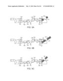 ANCHORING APPARATUS AND METHODS FOR USE diagram and image