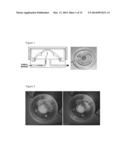 BIOCOMPATIBLE COMPOSITIONS AND METHODS OF MANUFACTURE diagram and image