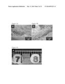 BIOCOMPATIBLE COMPOSITIONS AND METHODS OF MANUFACTURE diagram and image