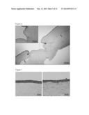 BIOCOMPATIBLE COMPOSITIONS AND METHODS OF MANUFACTURE diagram and image