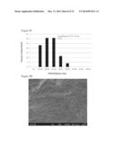 BIOCOMPATIBLE COMPOSITIONS AND METHODS OF MANUFACTURE diagram and image