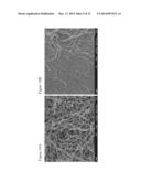 BIOCOMPATIBLE COMPOSITIONS AND METHODS OF MANUFACTURE diagram and image