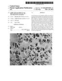 Fabrication of Porous Glass Bioscaffolds By Sol-Gel and Polymer Sponge     Methods diagram and image