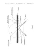 OPTOELECTRONIC PICKUP FOR MUSICAL INSTRUMENTS diagram and image