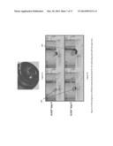 Time-varying Spark Current Magnitude to Improve Spark Plug Performance and     Durability diagram and image