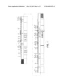 Multi-Piston Hydrostatic Setting Tool With Locking Feature and Pressure     Balanced Pistons diagram and image