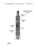 DOWNHOLE TOOLS HAVING NON-TOXIC DEGRADABLE ELEMENTS diagram and image