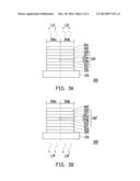 ORGANIC LIGHT EMITTING DIODE diagram and image