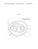 PATHOGEN AND PARTICLE DETECTOR SYSTEM AND METHOD diagram and image