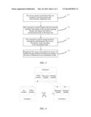 Multi-Interface Terminal, and Neighbor Topology Discovery and Cooperative     Communication Method Therefore diagram and image