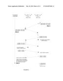 Dynamic hitless ODUflex resizing in optical transport networks diagram and image