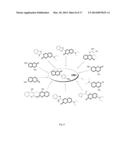 MOLECULAR PROBES FOR DETECTING LIPID COMPOSITION diagram and image