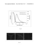 MOLECULAR PROBES FOR DETECTING LIPID COMPOSITION diagram and image