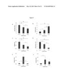 CELLULOSE-BASED NANOPARTICLES FOR DRUG DELIVERY diagram and image